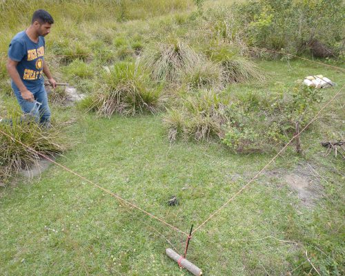 6 Quadrado amostral, técnica usada no estudo da população de guaiamuns ao longo do Rio São João, Foto Eduardo Almeida