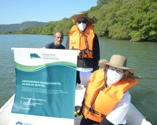 Ações do subprojeto