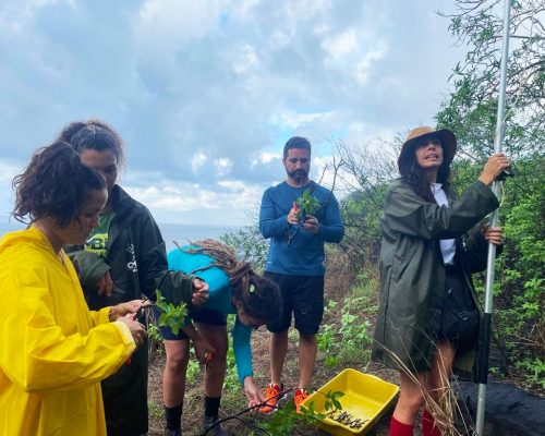 Analistas ambientais do MONA Cagarras durante intercâmbio sobre Controle de Espécies Exóticas Invasoras no NGI Noronha