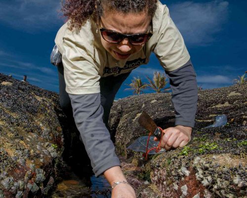 Búzios - Macaé - Foto - Rogerio Peccioli-13