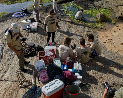 Búzios - Macaé - Foto - Rogerio Peccioli-2