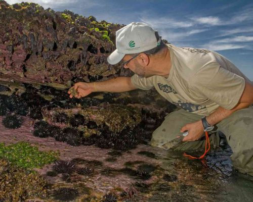 Búzios - Macaé - Foto - Rogerio Peccioli-23