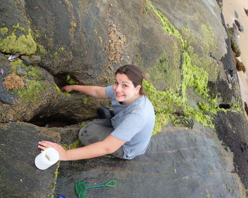 CR.AN.2016.10.16 Saída Poças Maré (Costões Rochosos) P.Areias Negras Rio das Ostras RJ PA160019 (Luciano Fischer)