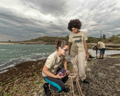 CR.AN.2017.11.05 Saída P.Costões Rochosos (A.Negras R.Ostras RJ) Rogério Peccioli-22