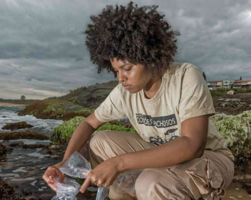 CR.AN.2017.11.05 Saída P.Costões Rochosos (A.Negras R.Ostras RJ) Rogério Peccioli-31