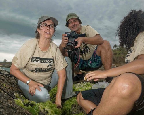 CR.AN.2017.11.05 Saída P.Costões Rochosos (A.Negras R.Ostras RJ) Rogério Peccioli-36