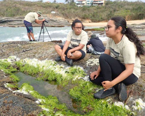 CR.AN.2017.11.05 Saída Projeto Costões Rochosos (A.Negras Rio das Ostras RJ)PB050002 (Luciano Fischer)