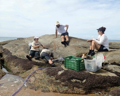 CR.AN.2019.03.05.EX Saída Costões Rochosos (A.Negras R.Ostras RJ) Metodo Poças LGF50304 (Luciano Fischer)