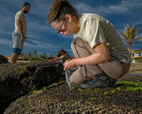 CR.B1.2017.11.03 Saída P.Costões Rochosos (P.Rasa Búzios RJ) Rogerio Peccioli-10