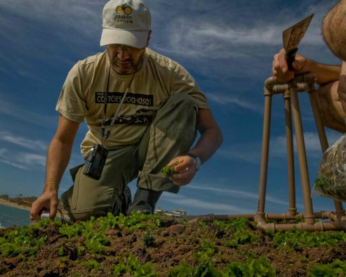 CR.B1.2017.11.03 Saída P.Costões Rochosos (P.Rasa Búzios RJ) Rogerio Peccioli-21