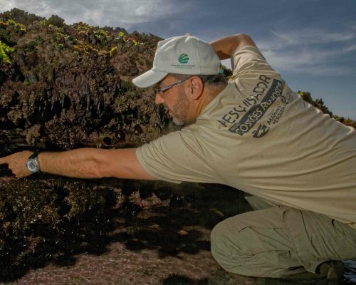 CR.B1.2017.11.03 Saída P.Costões Rochosos (P.Rasa Búzios RJ) Rogerio Peccioli-22