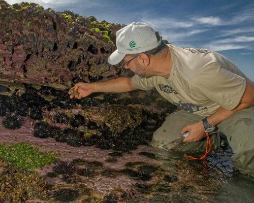 CR.B1.2017.11.03 Saída P.Costões Rochosos (P.Rasa Búzios RJ) Rogerio Peccioli-23