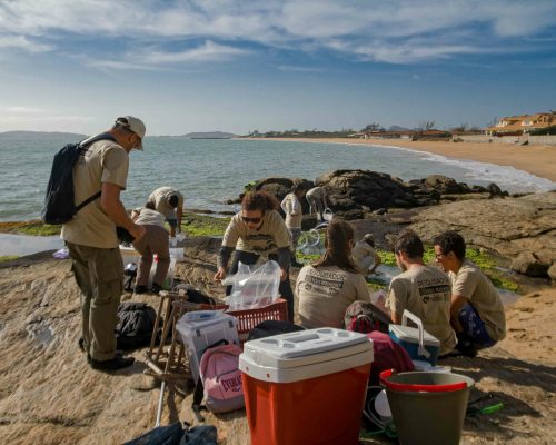 CR.B1.2017.11.03 Saída P.Costões Rochosos (P.Rasa Búzios RJ) Rogerio Peccioli-3