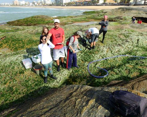 CR.CA.2017.08.09 Saída Projeto Costões Rochosos (Cavaleiros Macaé RJ) DSCN2202 (Patricia Mancini)