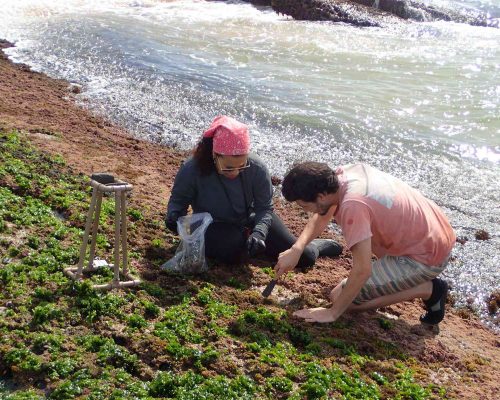 CR.CA.2017.08.09 Saída Projeto Costões Rochosos (Cavaleiros Macaé RJ) P8091570 (Red.Cam)