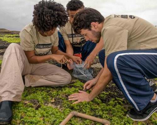 CR.CA.2017.11.02 Saída P.Costões Rochosos (Cavaleiros Macaé RJ) Rogerio Peccioli-18