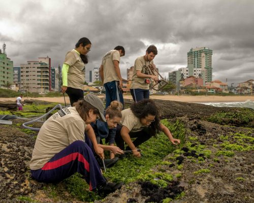 CR.CA.2017.11.02 Saída P.Costões Rochosos (Cavaleiros Macaé RJ) Rogerio Peccioli-57