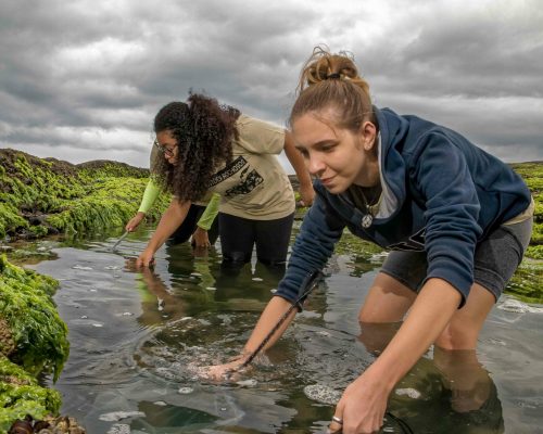 CR.CA.2017.11.02 Saída P.Costões Rochosos (Cavaleiros Macaé RJ) Rogerio Peccioli-78