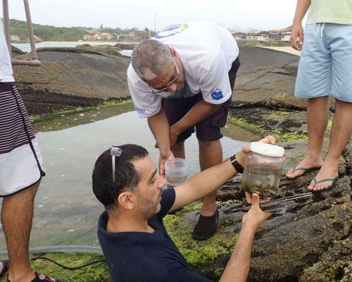 CR.RE.2016.12.10 Saída Poças de Maré (Costões Rochosos) P.Baleia Rio das Ostras RJ PC100173 (Luciano Fischer)