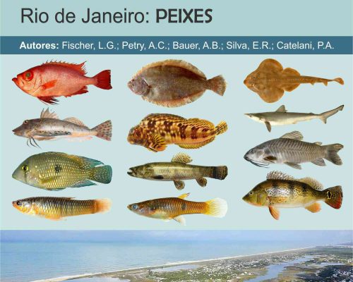 _Capa Cadernos Didáticos do Nupem - Volume 1 - Peixes.3.1500