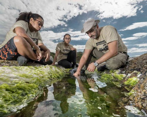 Costões Rochosos- Foto- Rogério Peccioli-14