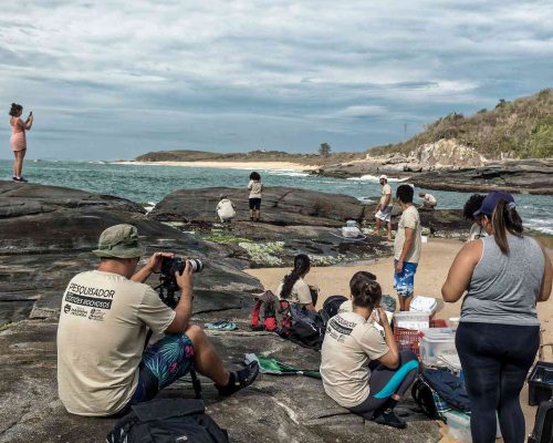 Costões Rochosos- Foto- Rogério Peccioli-2