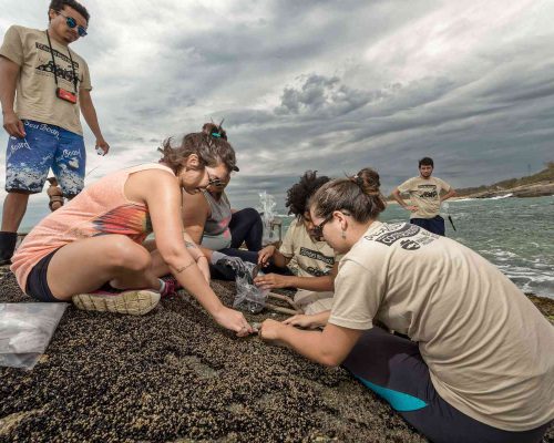 Costões Rochosos- Foto- Rogério Peccioli-20