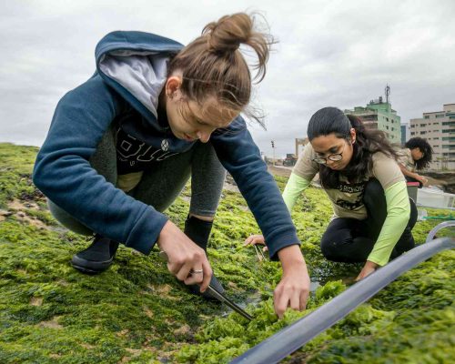 Costões Rochosos - Macaé - Foto - Rogerio Peccioli-23