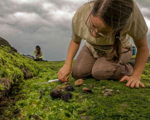 Costões Rochosos - Macaé - Foto - Rogerio Peccioli-42