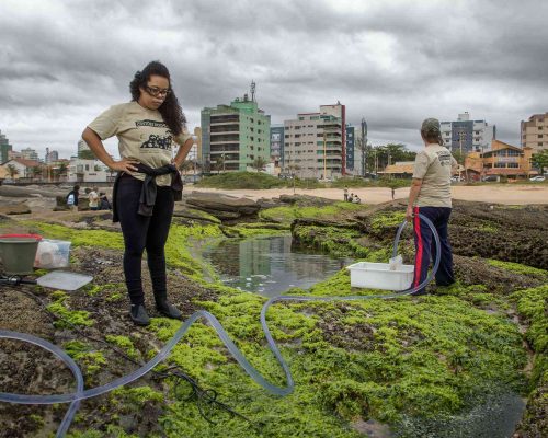 Costões Rochosos - Macaé - Foto - Rogerio Peccioli-48