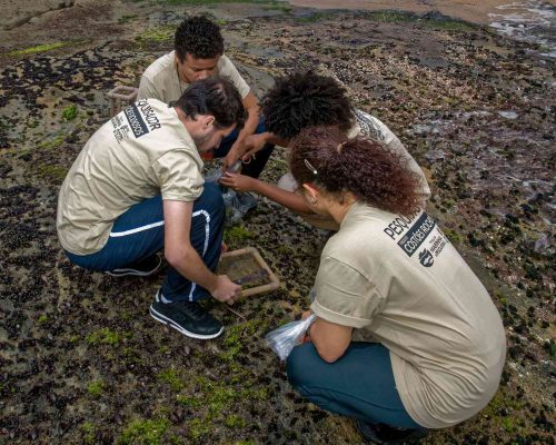 Costões Rochosos - Macaé - Foto - Rogerio Peccioli-53