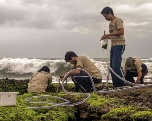Costões Rochosos - Macaé - Foto - Rogerio Peccioli-55