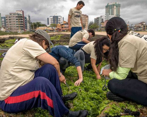 Costões Rochosos - Macaé - Foto - Rogerio Peccioli-60