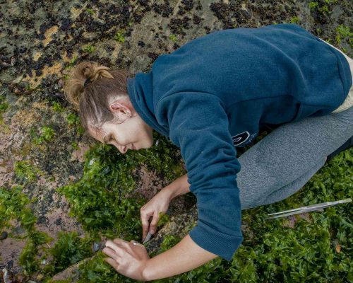 Costões Rochosos - Macaé - Foto - Rogerio Peccioli-66