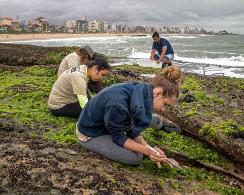 Costões Rochosos - Macaé - Foto - Rogerio Peccioli-69