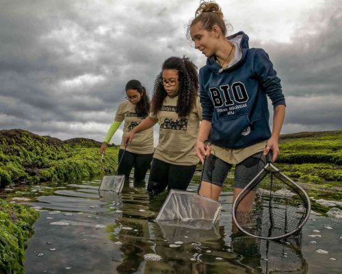 Costões Rochosos - Macaé - Foto - Rogerio Peccioli-76