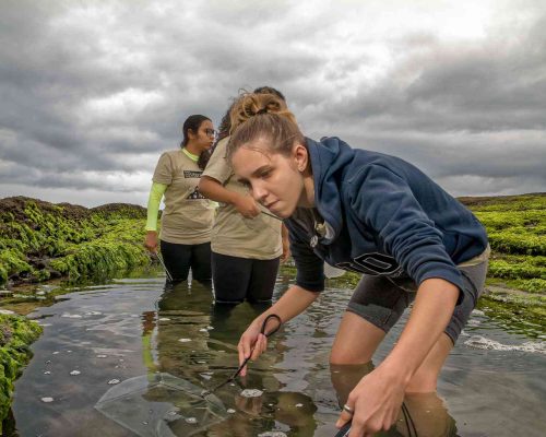 Costões Rochosos - Macaé - Foto - Rogerio Peccioli-77
