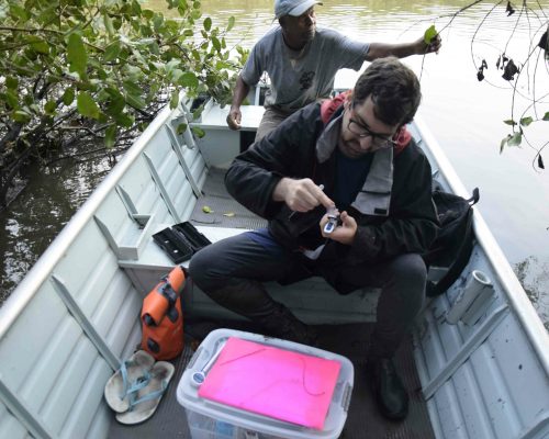 Dr Thiago Couto medindo a salidade da água na Apa Guapi-mirimJPG