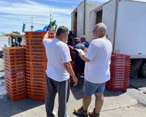 Entrevista com atravessador - Macaé (Projeto Enfoque ecotrófico)