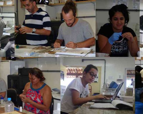 Figura A1.2 Prancha 2º Relatório Semestral Multipesca