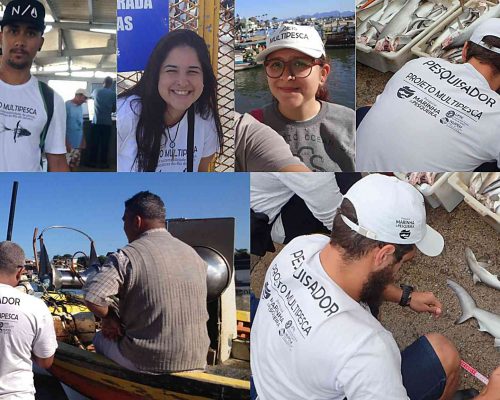 Figura AC Prancha 2º Relatório Semestral Multipesca