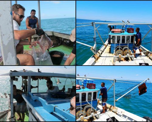 Figura Arrasto2 Prancha 2º Relatório Semestral Multipesca