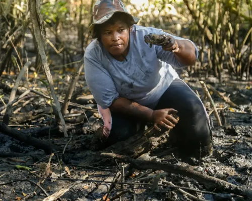 Fotos_ACAMM_fase2 (11)