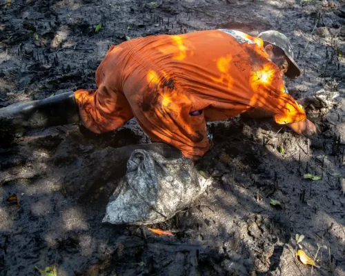 Fotos_ACAMM_fase2 (13)