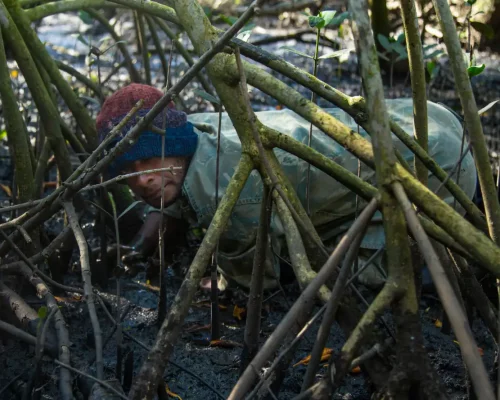 Fotos_ACAMM_fase2 (15)