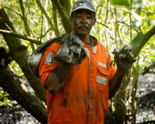 Fotos_ACAMM_fase2 (16)