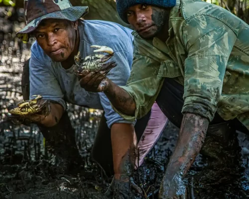 Fotos_ACAMM_fase2 (18)