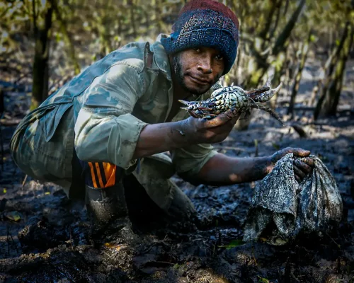 Fotos_ACAMM_fase2 (20)