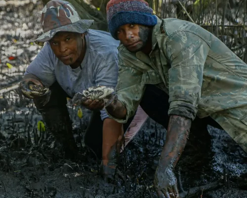 Fotos_ACAMM_fase2 (21)