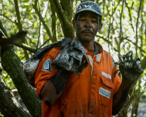 Fotos_ACAMM_fase2 (24)